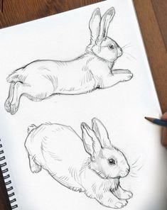 a drawing of two rabbits sitting next to each other on top of a wooden table