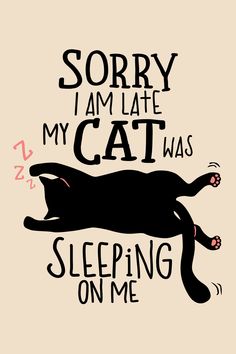 a black cat laying down with the words sorry i am late my cat was sleeping on me