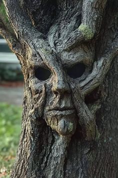 A creepy tree with a haunting face embedded in the bark, perfect for spooky Halloween garden decorations. Halloween Moodboard, Diy Halloween Tree, Creepy Diy, Spooky Garden, Haunted Garden, Creepy Tree, Trail Ideas, Scary Scarecrow