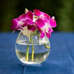 there is a vase with flowers in it on the tableclothed blue cloths