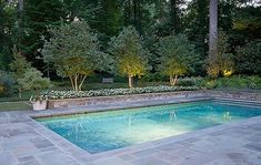 a swimming pool surrounded by trees and bushes