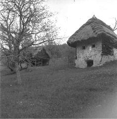 an old house with a thatched roof in the middle of a grassy field next to trees