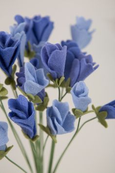 some blue flowers are in a glass vase