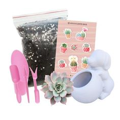 an assortment of succulents and gardening utensils are shown in this image