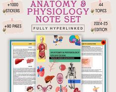 an anatomy and physoloy note set with illustrations