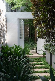 an open door leading into a lush green garden