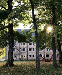 a hammock hanging between two trees in front of a large building