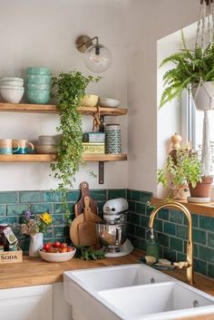 a kitchen filled with lots of green plants next to a white sink and counter top