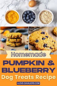 homemade pumpkin and blueberry dog treats recipe