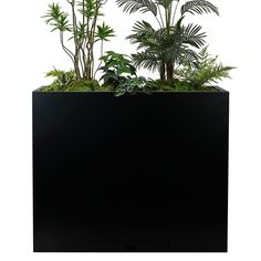 a black planter filled with plants and greenery on top of a white background