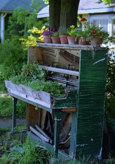 an old wooden box with plants growing out of it