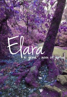 the words elara in greek and english are surrounded by purple moss growing on trees