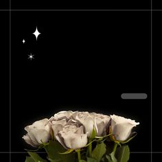 some white roses are in a vase with green leaves on the bottom and stars above them