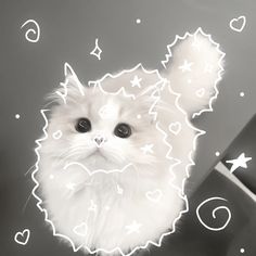 a white cat with black eyes and stars on it's face is looking at the camera