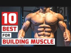 Muscle Building Breakfast, Muscle Workouts, Dumbbell Exercise, Back Workout Routine, Muscle And Fitness, Tactical Fitness, Gaining Muscle, Arm Work