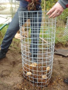 a man is standing next to a wire fence with logs in it and holding a hose