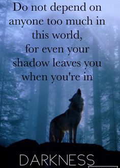 Beautiful Wolf Quote Lone Wolf Quotes, American Quotes, Wolf Quotes, Quotes Wallpapers, Vibes Wallpaper, Wolf Wallpaper, Lone Wolf, A Wolf