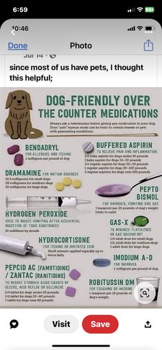 an info sheet with the words dog - friendly over the counter medicationss on it