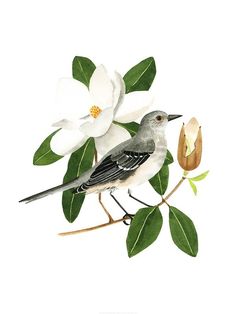 a bird sitting on top of a tree branch with white flowers and leaves around it