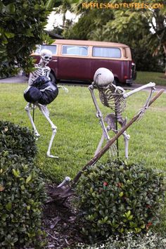 two skeletons are in the yard playing with a stick