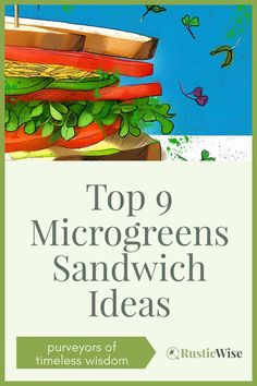 the cover of top 9 microgreens sandwich ideas by ruth wise, illustrated by author