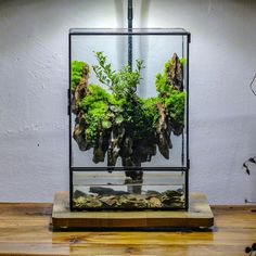 an aquarium filled with plants and rocks on top of a wooden table