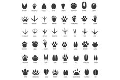 an animal's footprints are shown in black and white, with the words on each side