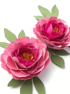 two pink flowers with green leaves on top of each one, sitting next to each other