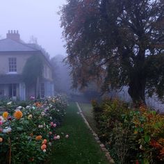 a foggy day in front of a house and garden with flowers on the lawn