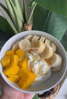 a person is holding a bowl of fruit and yogurt with bananas on top