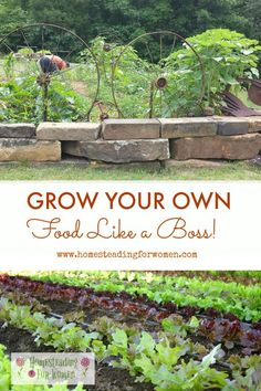 a garden with some plants growing in it and the words grow your own food like a boss