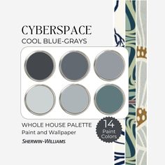 the color palette for cyberspace cool blue - grays is shown in four different shades