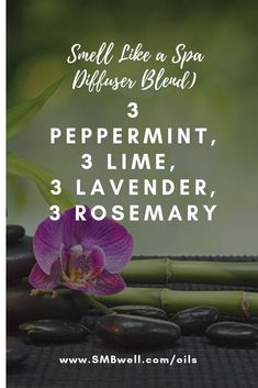 Spa Essential Oil Blend, Essential Oils Health, Essential Oil Diffuser Recipes, Oil Diffuser Recipes, Essential Oil Blends Recipes