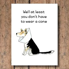 a card that says well at least you don't have to wear a cone