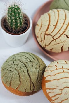 three round cakes on plates next to a cactus