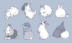 an image of rabbits in different poses