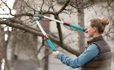 a woman is using a pair of scissors to trim a tree