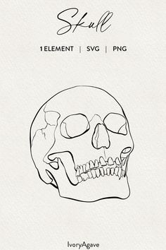 a drawing of a skull with the word skull on it's side and an image of