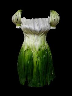 an image of onions in the shape of a woman's dress on black background