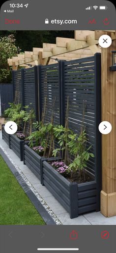 an outdoor garden with plants growing in the planters and on the side of the fence