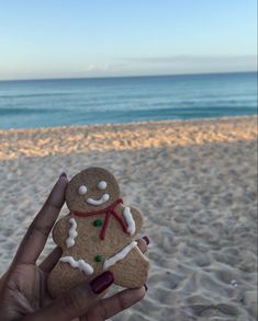 a hand holding up a small gingerbread on the beach with ocean in the background