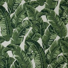 a green and white wallpaper with lots of leaves