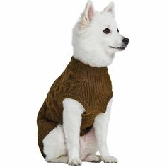 a white dog wearing a brown sweater and sitting on the ground with his paw in its mouth