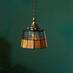 a lamp hanging from a ceiling with a green wall behind it and a plant in the background