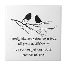 two birds sitting on a branch with the words family like branches on a tree all grow in different directions yet our roots remain as one