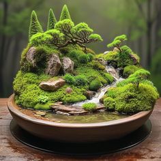 moss covered rocks and trees on a plate with water running down it's side