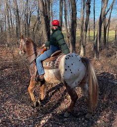 a man riding on the back of a brown and white horse through a wooded area