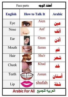 an arabic language poster with different types of teeth and mouth shapes, including the names of each