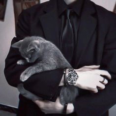 Rich Aesthetics Dark, Luxury Male Aesthetic, Dark Rich Aesthetic Man, Male Servant Aesthetic, Grumpy Man Aesthetic, Two Men Aesthetic, Black Cat Boy Aesthetic, Black Business Man Aesthetic, Black Hair Aesthetic Boy