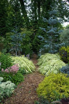 a garden filled with lots of different types of plants and trees in the middle of it